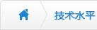技術(shù)水平